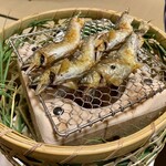 あさば - 鮎 炭火焼