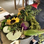 アグリスケープ - 