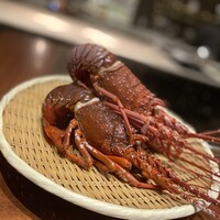 スガラボヴィー - 