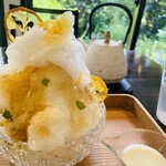 茶房 空花 - 鎌倉レモンのかき氷とアールグレイ