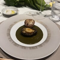 スガラボヴィー - 