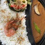 カレー専門店 円山教授 - 