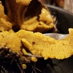 出羽鮨 - ウニ。