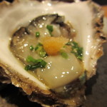 清水港　みなみ  - 京都産岩牡蠣