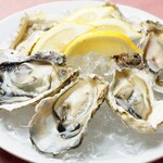 北海道 知床漁場 - その他写真: