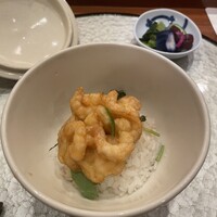 天冨良 よこ田 - 