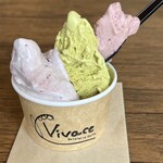 Gelateria Caffe Vivace - アマレナチェリーとピスタチオ
