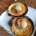 江の島　貝作 - 