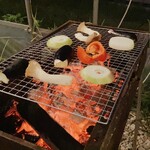 BUB RESORT Chosei Village - 