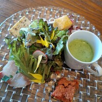 フィーコディンディア - 