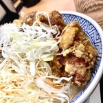 Yoshinoya - 