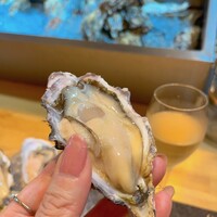 四ツ橋・新町 牡蠣と肉たらしビストロAKIRA - 