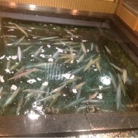 稚加榮 本店 - 