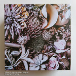 ピエール・エルメ・パリ - 