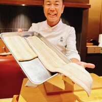 弧柳 - 