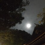 SPICY CURRY 魯珈 - 