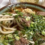 Hisano Udon - 