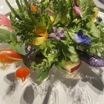 レフェルヴェソンス - 