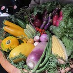 レフェルヴェソンス - 