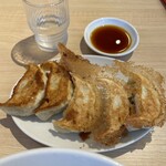 しょうがラーメン 七の庫 - R5.8  ぎょうざ5こ