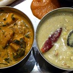 ダバ インディア - Dhaba India ＠八重洲 三色カレーの右：中辛：チキンひき肉・ゆで玉子、左：甘口：ホウレン草・ポテト・パニール