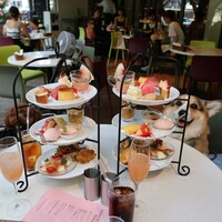 キハチ 青山本店 - 