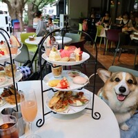 キハチ 青山本店 - 