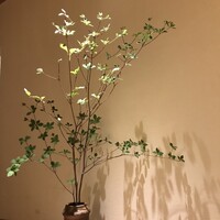 まつ久ら - 