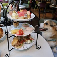 キハチ 青山本店 - 