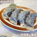 Fun Fan - 