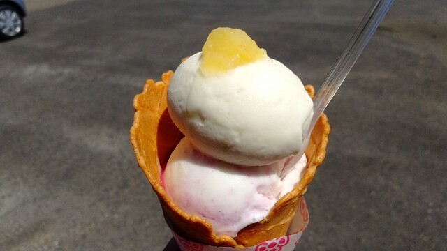 KOZENJI cafe（こぜんじカフェ） - 平泉（ジェラート・アイスクリーム）の写真