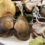 出羽鮨 - ホッキ。