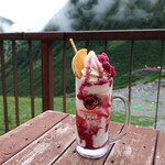 涸沢小屋 - パフェ