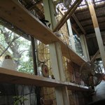 イツワ製麺所食堂 - 