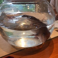 日本料理 別府 廣門 - 