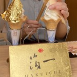 Hakuichi - 
