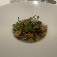 カンテサンス - 