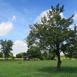 麒麟倶楽部 - 脚を運びますけど、