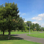 麒麟倶楽部 - 流行のスパイス系や、