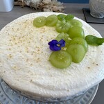 サクラサクラ - 