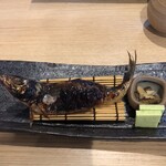 魚菜 由良 - 