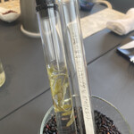 プレゼンテ スギ - 