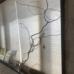 プレゼンテ スギ - 