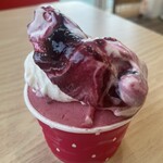 しずの苺園 直売所 - 