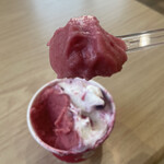 しずの苺園 直売所 - プラムシャーベット