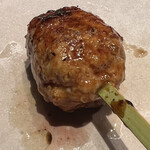 Sumibi Yakitori Ikoka Temmabashi - 