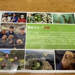 とんかつ 栄ちゃん - 