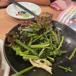 世界の山ちゃん - 