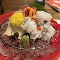 京料理 先斗町 富美家 - お造り
