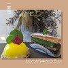 カンツバキ NOBU